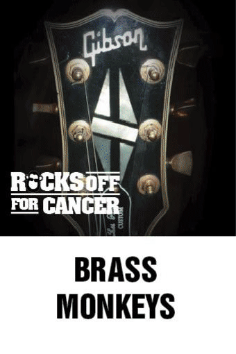 BrassMonkeys Rocks Off For Cancer Charity Fundraiser benefit gig on 2 July 2016 with proceeds to Wessex Cancer Trust. A Special charity gig 02:07:16 for WCT featuring The Blues Brothers, BrassMonkeys, James Brown. One charitable night of entertainment, a Variety Gala Evening Saturday July 2nd, 2016 supporting Wessex Cancer Trust (Reg. Charity No. 1110216).